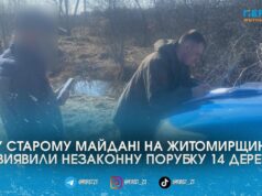 Виявили через «гарячу лінію»: на Житомирщині екоінспектори зафіксували незаконну порубку 14 дерев