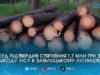За незаконні рубки в Забілоцькому лісництві з «Радомишльського лісгоспу АПК» стягнуть понад 1,7 млн грн