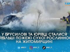 На Житомирщині за добу вигоріло понад 4 гектари сухостою