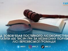 Через незаконну порубку в Березівській громаді філія «Ліси України» має відшкодувати майже 600 тис. грн