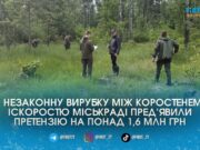 Коростенській міськраді виставили претензію на 1,6 млн грн через незаконну вирубку 150 дерев