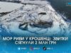 Отруйний фільтрат і мільйонні збитки: справу про мор риби у Крошенці передають до прокуратури