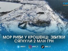 Отруйний фільтрат і мільйонні збитки: справу про мор риби у Крошенці передають до прокуратури