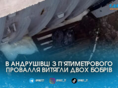 Спецоперація біля шлюзу: як рибалка та ДСНС влаштували порятунок бобрів в Андрушівці з 5-метрової пастки