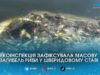 У ставі на річці Крошенка виявили понад 1600 загиблих рибин: це вже не перший випадок за місяць