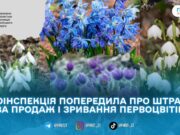 На Житомирщині стартували рейди проти торгівлі первоцвітами