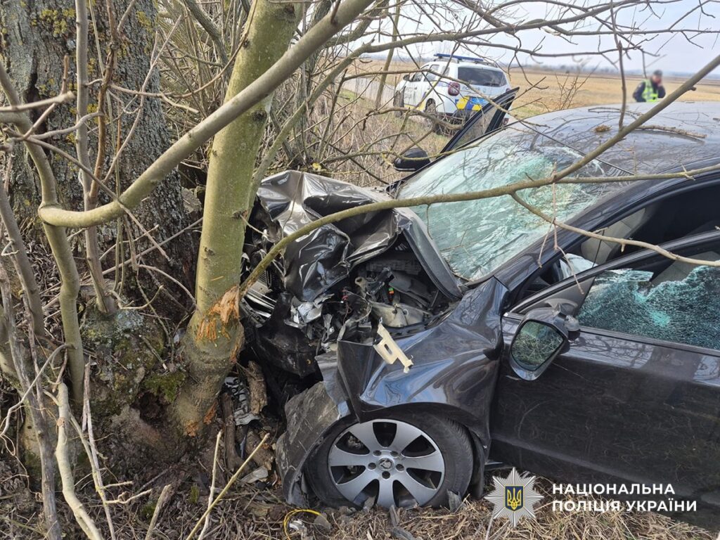 ДТП у Бердичівському районі