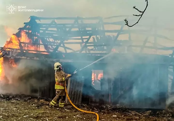 На Житомирщині через спалювання трави ледь не згоріло село:...