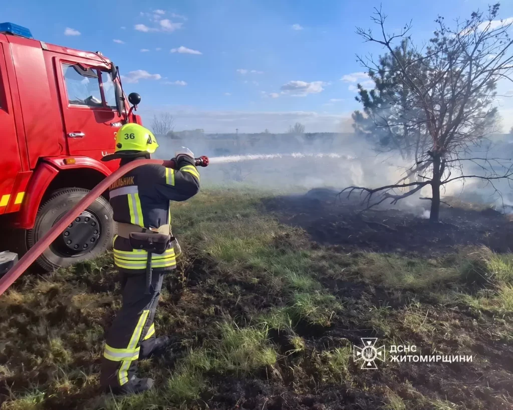 Вогонь за крок від лісу: на Житомирщині за добу...