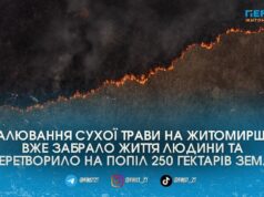 250 гектарів випаленої землі: рятувальники розповіли про ситуацію з масовими підпалами трави на Житомирщині