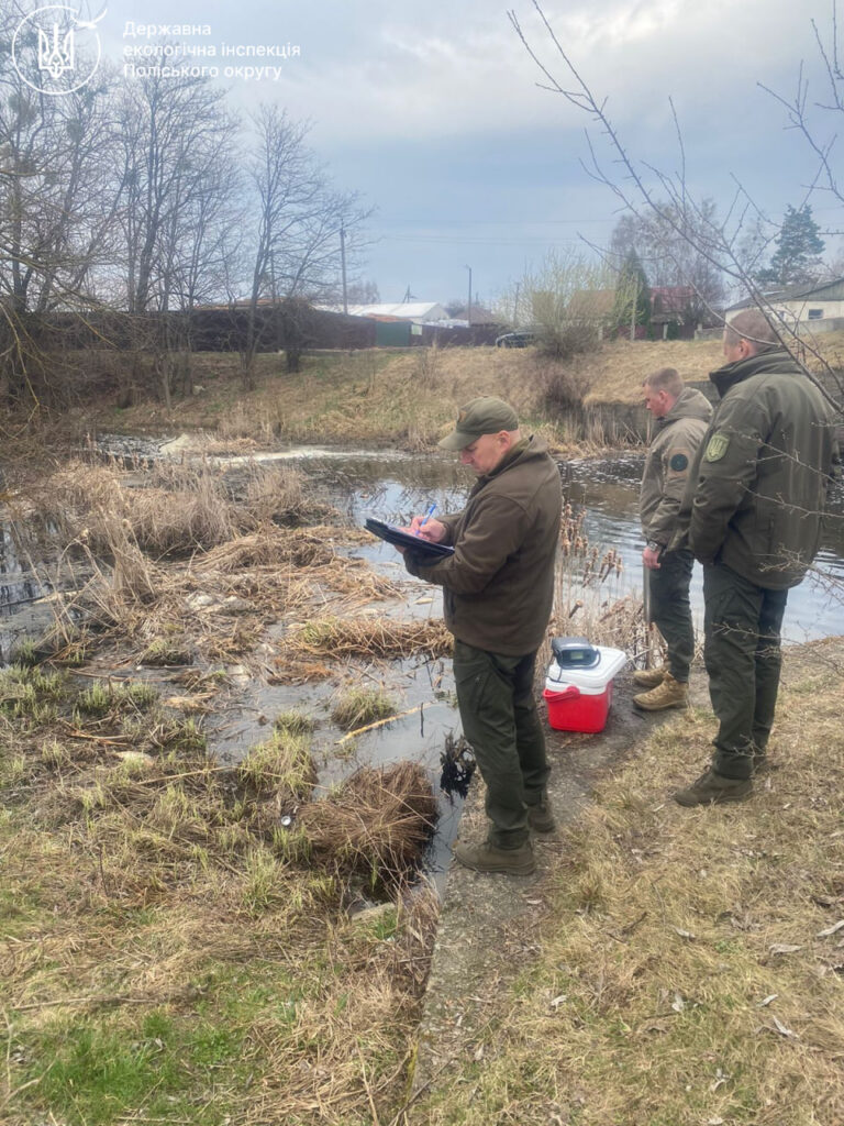 Екологи виявили сотні мертвих рибин на берегах Ємільчиного