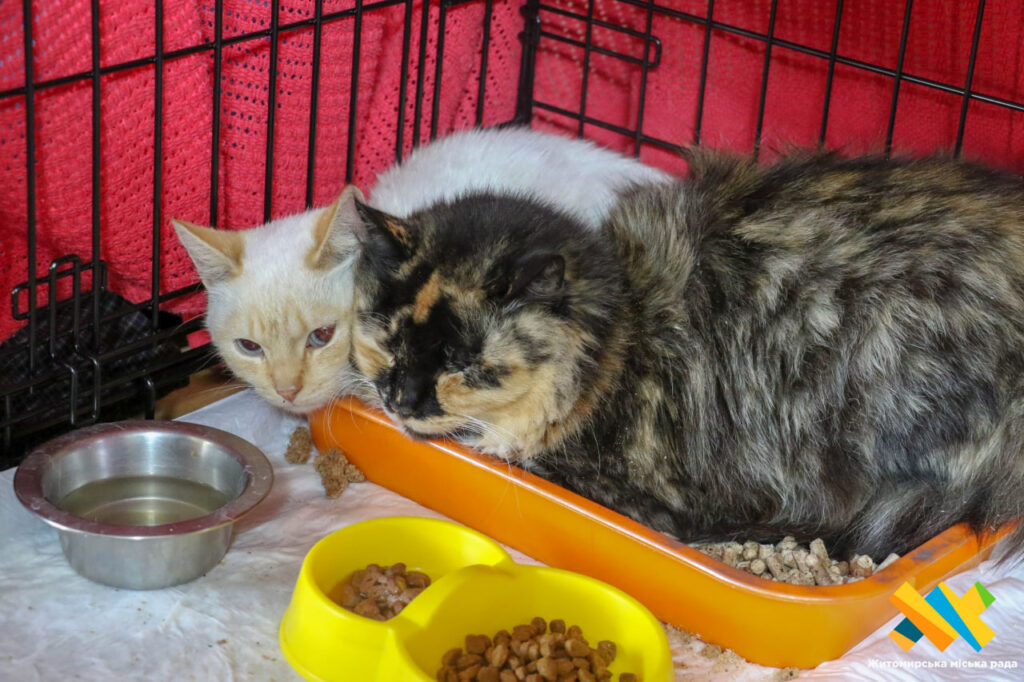 Центру захисту тварин