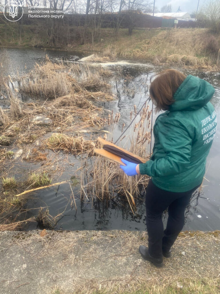 Ємільчиного