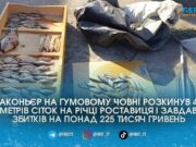 Риболовля на чверть мільйона обернулася для жителя Бердичівщини конфіскацією авто та кримінальною справою