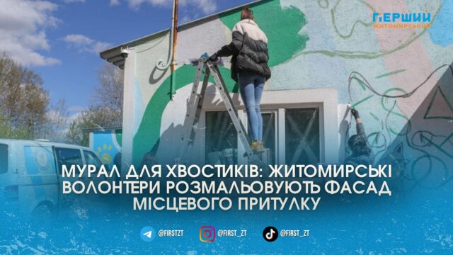 У Житомирі волонтери перетворюють стіни Центру захисту тварин на...