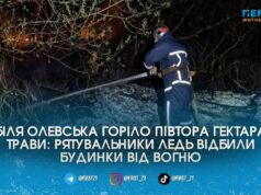 Вогонь за крок від осель та лісу: за добу на Житомирщині загасили чотири пожежі сухостою