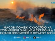 265 гектарів спаленої землі: Житомирщина потерпає від масових пожеж через весняних паліїв