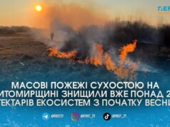 265 гектарів спаленої землі: Житомирщина потерпає від масових пожеж через весняних паліїв