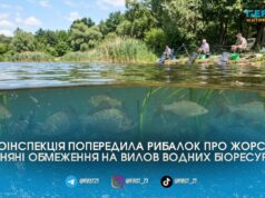 Вудки на берег: де і коли категорично заборонено рибалити цієї весни на Житомирщині
