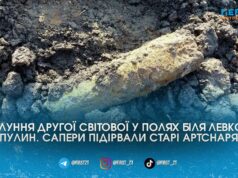У полях біля Левкова та Пулин місцеві мешканці знайшли боєприпаси часів Другої світової війни