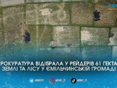Приватна агрофірма привласнила понад 60 гектарів лісу та полів на Звягельщині за хитрою схемою з 90-х