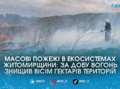 Понад 8 гектарів згарищ за добу: на Житомирщині рятувальники 12 разів гасили палаючий сухостій