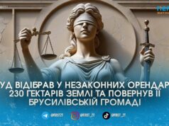 Прокуратура через суд повернула Брусилівській громаді понад 230 гектарів землі, яку місцевий фермер незаконно передав бізнесменам