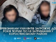 Ховали під будматеріалами у бусі: у Коростенському районі поліція та прикордонники перекрили два канали переправлення ухилянтів за кордон