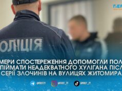 У Житомирі 27-річний рецидивіст зламав кістки випадковому перехожому біля ТЦ та знищив магнолію у міському сквері ТЦ