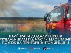 Понад 11 гектарів спаленої землі залишили по собі палії трави на Житомирщині лише за одну добу