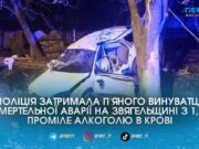 У жахливій ДТП на Звягельщині п’яний водій влетів у дерево та вбив 12-річного хлопчика