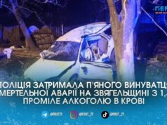 У жахливій ДТП на Звягельщині п’яний водій влетів у дерево та вбив 12-річного хлопчика