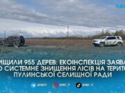 Масштабна вирубка на 10 мільйонів: під Житомиром знищили майже тисячу дерев, екоінспекція звинувачує місцеву владу