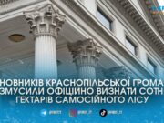 Суд змусив сільраду на Житомирщині взяти під захист 300 гектарів лісу, який міг піти під сокиру