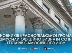 Суд змусив сільраду на Житомирщині взяти під захист 300 гектарів лісу, який міг піти під сокиру