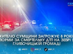 Водій кросовера збив на смерть пішохода на “зебрі” під Житомиром і тепер може сісти на 8 років