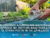 Замість дорогої хімії: п’ять копійчаних підживок з кухні та аптечки, які гарантують гарний врожай