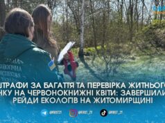 Незаконні паркани біля річок, гори сміття та весняні палії: екоінспектори провели масштабні рейди довкола Житомира