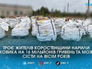 Банда нелегальних копачів на Олевщині завдала екології збитків на 16 мільйонів і тепер постане перед судом