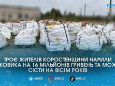 Банда нелегальних копачів на Олевщині завдала екології збитків на 16 мільйонів і тепер постане перед судом