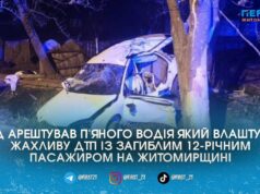 На Звягельщині суд відправив до СІЗО винуватця ДТП, в якій загинула дитина