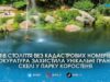 Пів століття без документів: прокуратура захистила від дерибану легендарні «Ольжині купальні» у Коростені