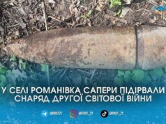 Натрапили на снаряд просто на подвір’ї: на Звягельщині люди відкопали боєприпас під час земляних робіт