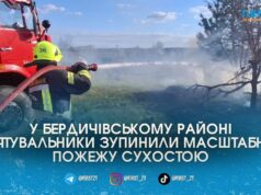 Вогонь за крок від лісу: на Житомирщині за добу вигоріло понад 6 гектарів землі через підпали сухостою