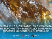 Суд повернув Ушомирській громаді 22 гектари незаконно приватизованих бурштиноносних земель