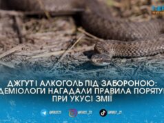 Не висмоктуйте отруту та забудьте про джгут: як діяти при укусі змії? Поради від ЦКПХ