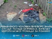 Застілля закінчилося реанімацією: на Житомирщині жінка встромила ніж у груди молодому співмешканцю