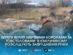 Екологи виявили сотні мертвих рибин на берегах Ємільчиного