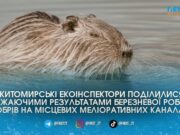 Екоінспектори показали масштабні наслідки роботи бобрів на меліоративних каналах Житомирського району до їхнього міжнародного свята