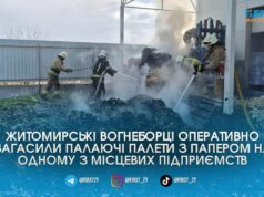 Рятувальники врятували житомирське підприємство від масштабної пожежі після раптового займання палетів з папером